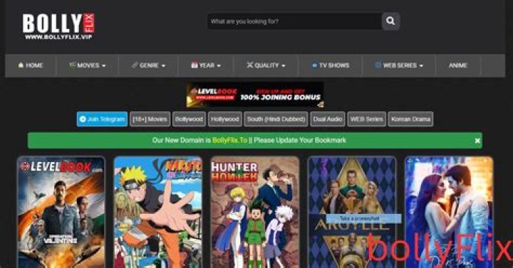 Bollyflix.ninja: The Ultimate Guide to Streaming Bollywood Movies