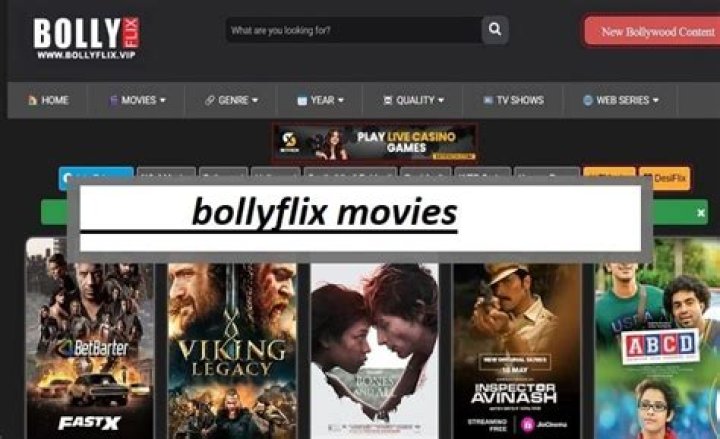 Bollyflix Org: Your Ultimate Destination for Bollywood Entertainment
