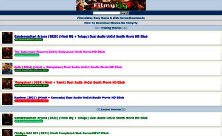 filmyfly.in: The Ultimate Guide to Downloading Movies, TV Shows, and More