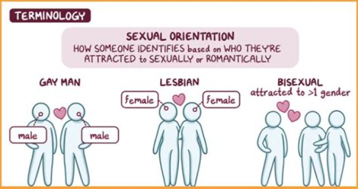 Hall & Oates: Uncovering Their Sexual Orientations And Identity