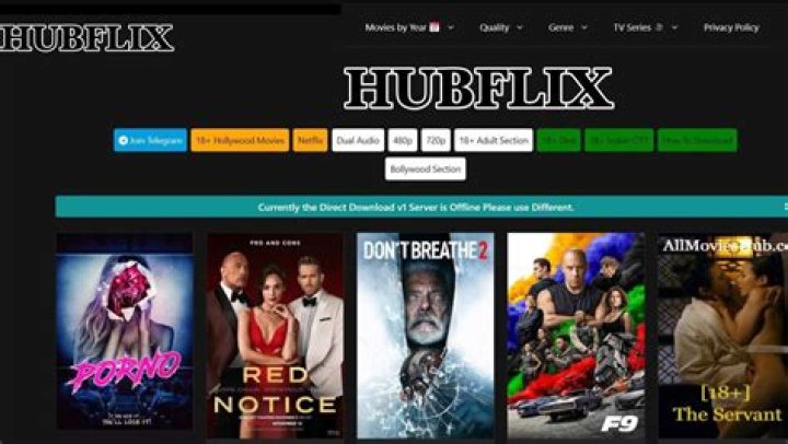 HubFlix: The Ultimate Streaming Service You Need to Explore