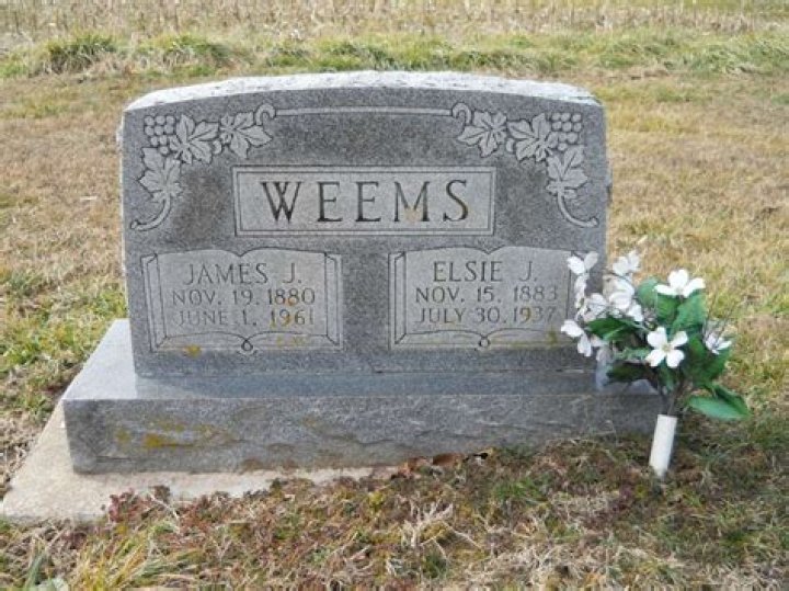 Jarvis Weems: The Rising Star in the Entertainment Industry