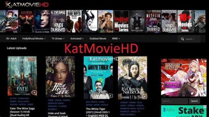 Katmovie Adult: A Comprehensive Guide to Understanding the Platform and Its Impact