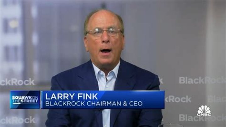 Larry Fink, BlackRock CEO's Wife: Meet Lori Gottlieb, Marriage, Family, And Personal Life