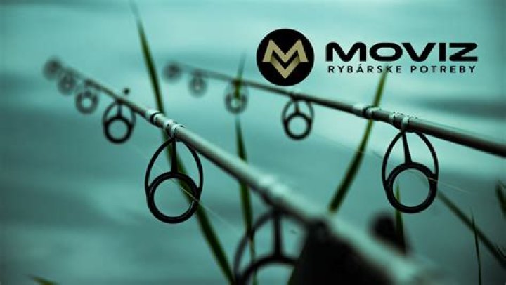 Unveiling the World of Moviz Rules: Your Ultimate Guide