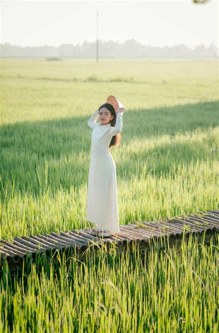 Exploring the World of SOTWE IFSA: A Comprehensive Guide