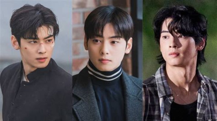 Top TV Shows Featuring Cha Eun-Woo: A Comprehensive Guide