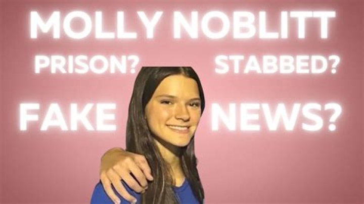 Unraveling The Mystery: Was Molly Noblit Stabbed?