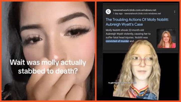 Unraveling The Mystery: Was Molly Noblitt Killed?